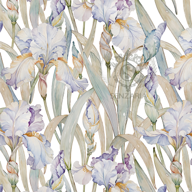 Трансфер - Ирисы